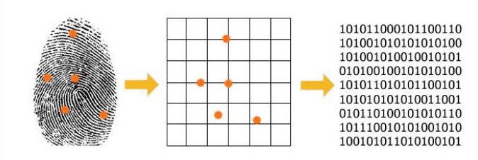 The Benefits of Biometrics in Time and Attendance Systems 2 FINGERPRINT2